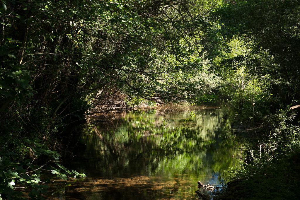 Recanto Da Ribeira Casas De Campo Monchique Dış mekan fotoğraf